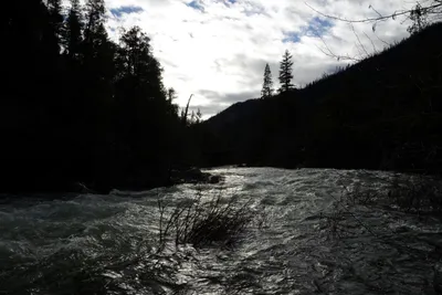 DSC_0907 (Large).JPG